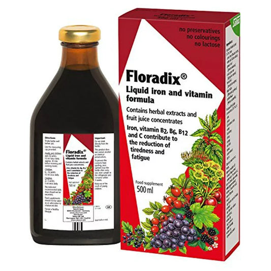 Floradix Iron and Vitamin Liquid Supplement
