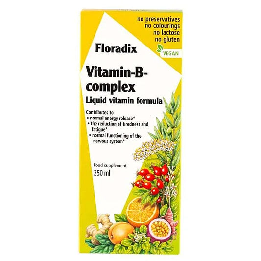 Floradix Liquid Vitality B Complex - 250ml