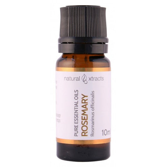 Rosemary Herbal Infusion Essential Oil - 10ml Pure Aromatherapy Blend